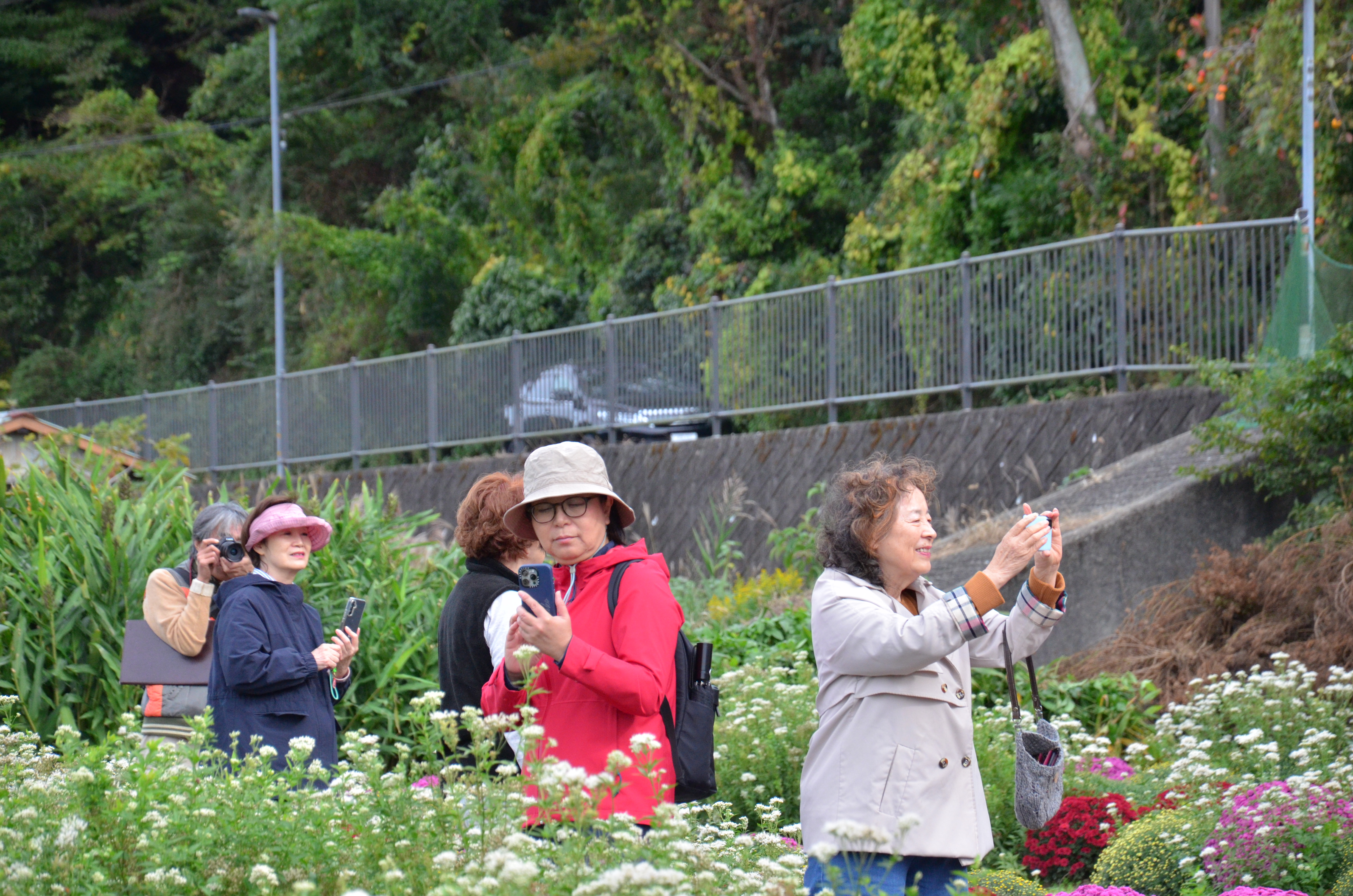 image_BAADEF33-8CD9-4EB3-8C7A-9F4CBD99C878_1763621780