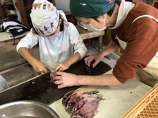 IMG_5647_1 IMG_5647_1