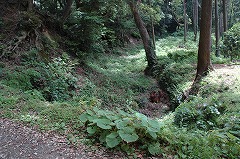下田公園の空堀