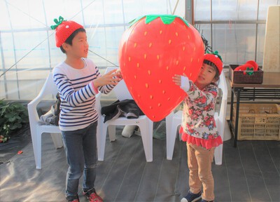 ㉘いちご狩り画像