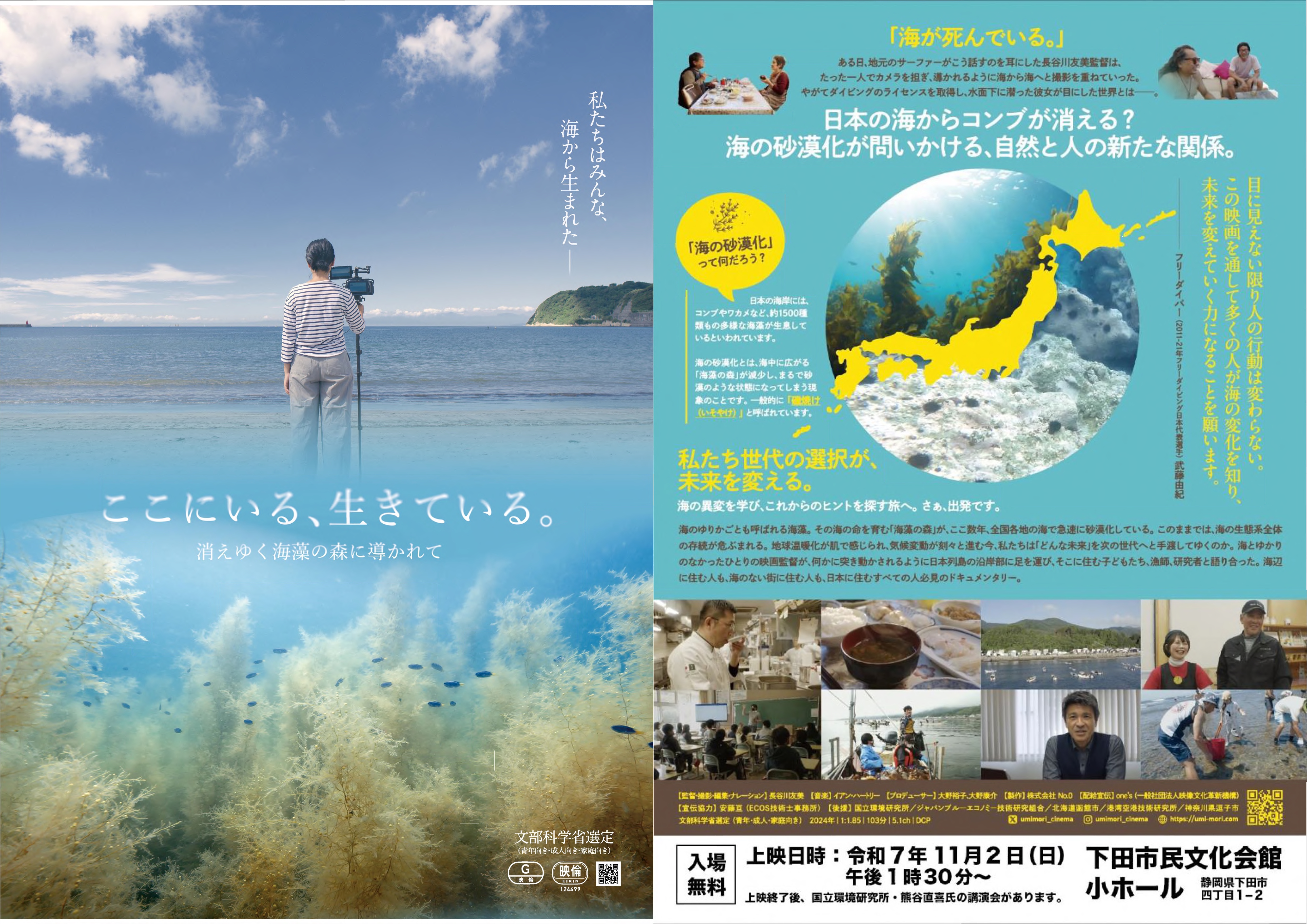 映画フライヤー