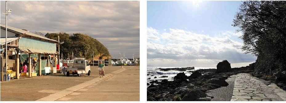 須崎漁港周辺観光地エリア景観計画ホームページ用画像